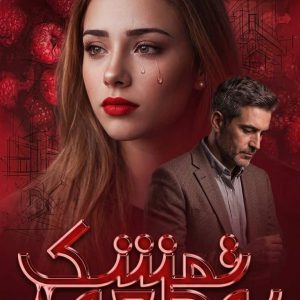 رمان به طعم تمشک اثر رعنا و بنفشه دانلود / پایانی خوش